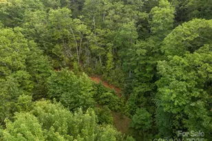 10 Turkey Trot Trail, Sylva, NC 28779 - Photo 5