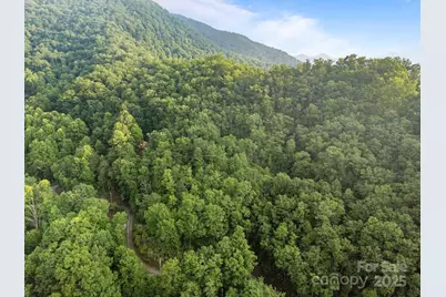 10 Turkey Trot Trail, Sylva, NC 28779 - Photo 13