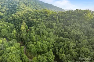 10 Turkey Trot Trail, Sylva, NC 28779 - Photo 13