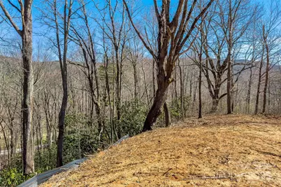 Lot# 158 Hunnicut Mountain Road, Marion, NC 28752 - Photo 11