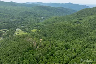 218 McGuffey Ridge Ridge, Gerton, NC 28735 - Photo 7