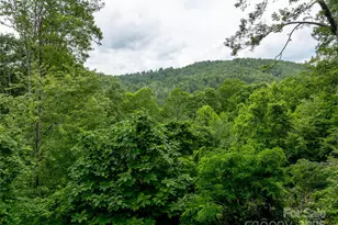 218 McGuffey Ridge Ridge, Gerton, NC 28735 - Photo 5