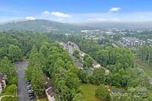 120 Alpine Ridge Dr, Asheville, NC 28803 - Photo 43