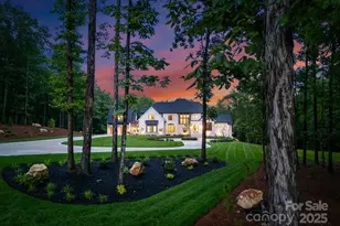 15037 June Washam Rd, Davidson, NC 28036 - Photo 5