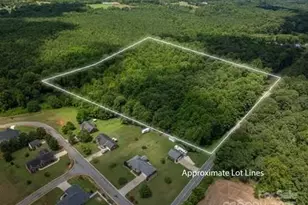 5955 Reepsville Rd, Vale, NC 28168 - Photo 47