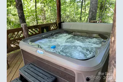 103 Blue Sky Lane, Hendersonville, NC 28792 - Photo 43