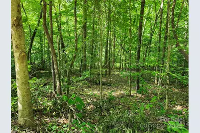 0000 Hayes Road #67, Columbus, NC 28722 - Photo 1