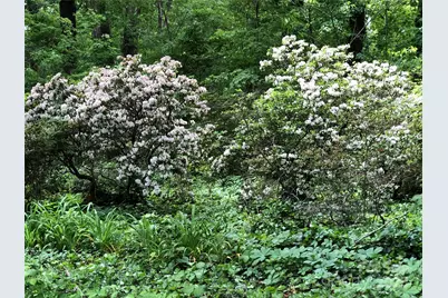 91 Ford Ridge Lane, Columbus, NC 28722 - Photo 13