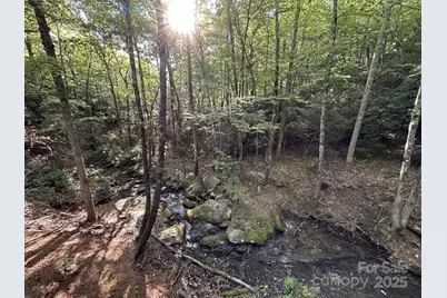 630 Shumont Road, Black Mountain, NC 28711 - Photo 7