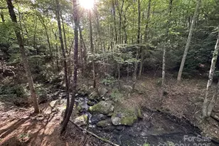 630 Shumont Rd, Black Mountain, NC 28711 - Photo 7