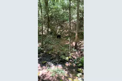 630 Shumont Road, Black Mountain, NC 28711 - Photo 3