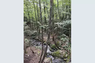 630 Shumont Road, Black Mountain, NC 28711 - Photo 5