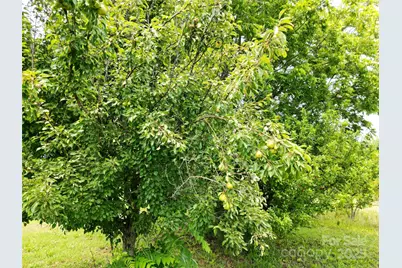 843 Upper White Store Road, Peachland, NC 28133 - Photo 45