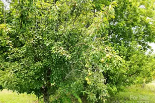 843 Upper White Store Rd, Peachland, NC 28133 - Photo 45