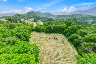 51 Homefire Cove Cove, Leicester, NC 28748 - Photo 35