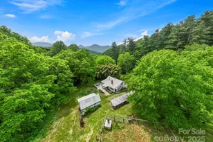 51 Homefire Cove Cove, Leicester, NC 28748 - Photo 37