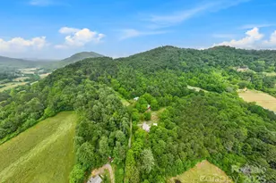 51 Homefire Cove Cove, Leicester, NC 28748 - Photo 33