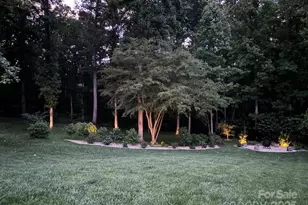 322 Ethan Ln, Rock Hill, SC 29732 - Photo 47