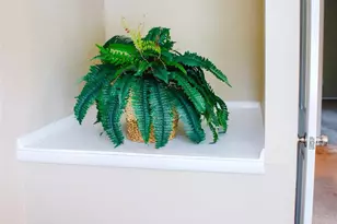 7526 Holly Grove Ct, Charlotte, NC 28227 - Photo 21