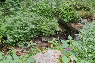 17 Cripple Creek Dr, Waynesville, NC 28785 - Photo 13