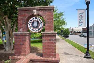 223 Halemarg Drive, Belmont, NC 28012 - Photo 19