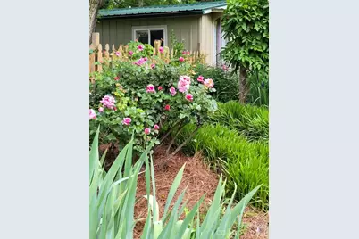 75 Cisco Road, Asheville, NC 28805 - Photo 9