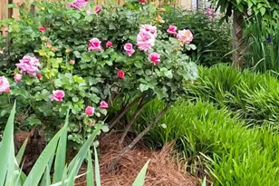 75 Cisco Rd, Asheville, NC 28805 - Photo 9