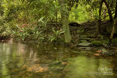 000 Golden Trout Drive #48&49, Spruce Pine, NC 28777 - Photo 11