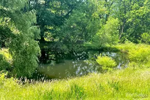 1592 Piney Hill Rd, Burnsville, NC 28714 - Photo 13