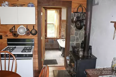 459 Old Yellow Mountain Road, Marion, NC 28752 - Photo 13