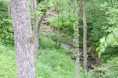 459 Old Yellow Mountain Road, Marion, NC 28752 - Photo 19