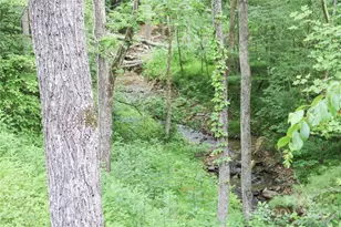 459 Old Yellow Mountain Rd, Marion, NC 28752 - Photo 19