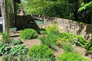 Tbd Goldenleaf Rd, Mars Hill, NC 28754 - Photo 7