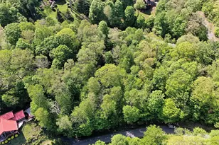 Tbd Goldenleaf Rd, Mars Hill, NC 28754 - Photo 17