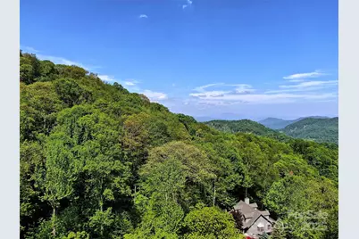 Tbd Goldenleaf Road #74, Mars Hill, NC 28754 - Photo 13