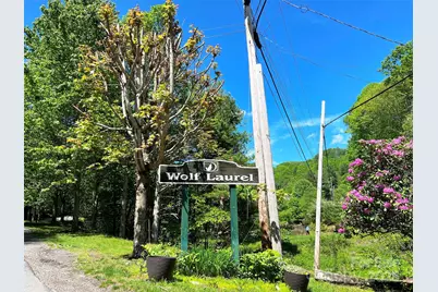 Tbd Goldenleaf Road #74, Mars Hill, NC 28754 - Photo 5