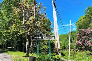 Tbd Goldenleaf Rd, Mars Hill, NC 28754 - Photo 5