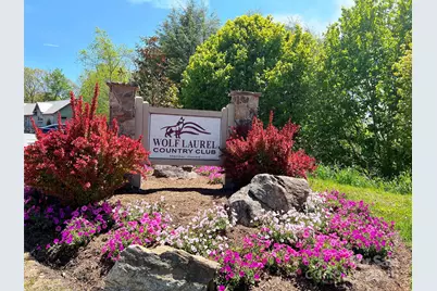 Tbd Goldenleaf Road #74, Mars Hill, NC 28754 - Photo 3