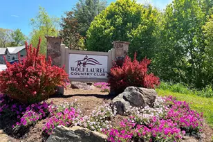 Tbd Goldenleaf Rd, Mars Hill, NC 28754 - Photo 3