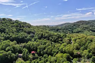 Tbd Goldenleaf Rd, Mars Hill, NC 28754 - Photo 11