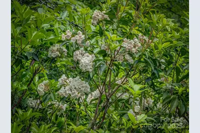 0000 Israel Road, Brevard, NC 28712 - Photo 9