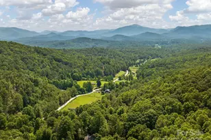 345 Bob Barnwell Rd, Fletcher, NC 28732 - Photo 29