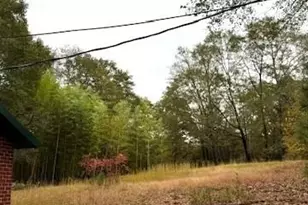 3702 Jonesville Lockhart Hwy, Union, SC 29739 - Photo 39