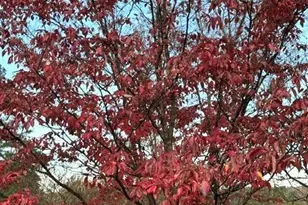 3702 Jonesville Lockhart Hwy, Union, SC 29739 - Photo 29