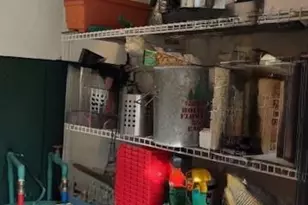 3702 Jonesville Lockhart Hwy, Union, SC 29739 - Photo 35