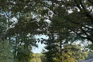 3702 Jonesville Lockhart Hwy, Union, SC 29739 - Photo 25