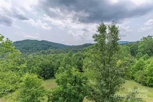 930 Big Raven Ln, Saluda, NC 28773 - Photo 5