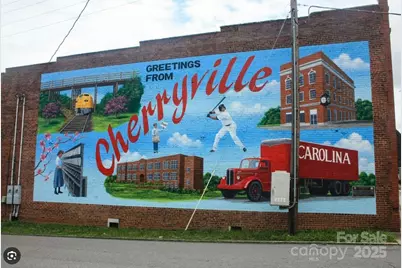 514 N Mulberry Street, Cherryville, NC 28021 - Photo 41