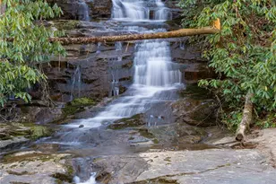 1987 Rabbit Hop Rd, Spruce Pine, NC 28777 - Photo 43