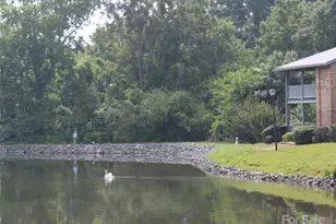 5864 Harris Grove Ln, Charlotte, NC 28212 - Photo 19